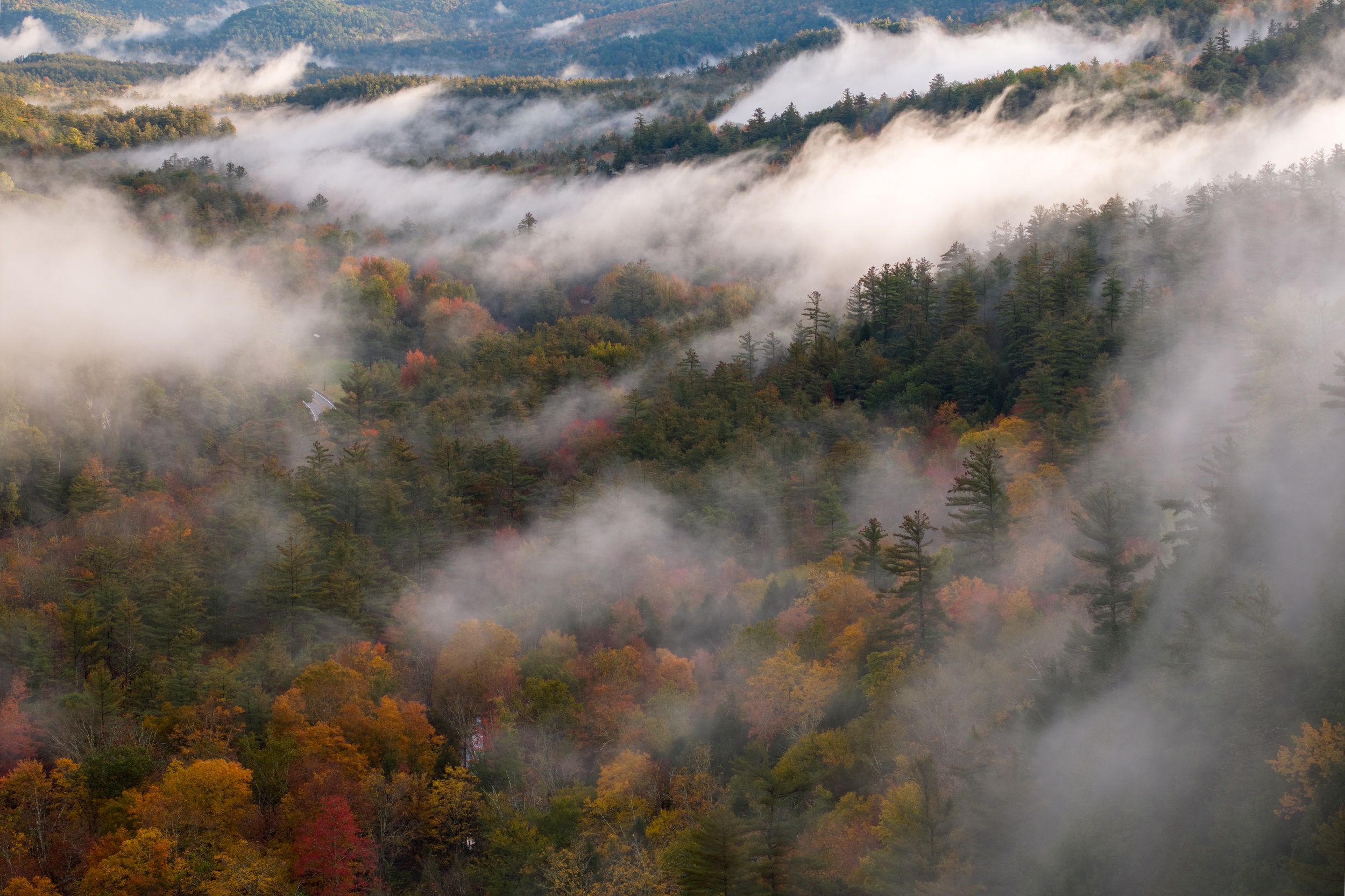 a drone panorama of a foggy valley leading up into a mountain, all covered in foliage and evergreens with fog clinging to the tops of trees.