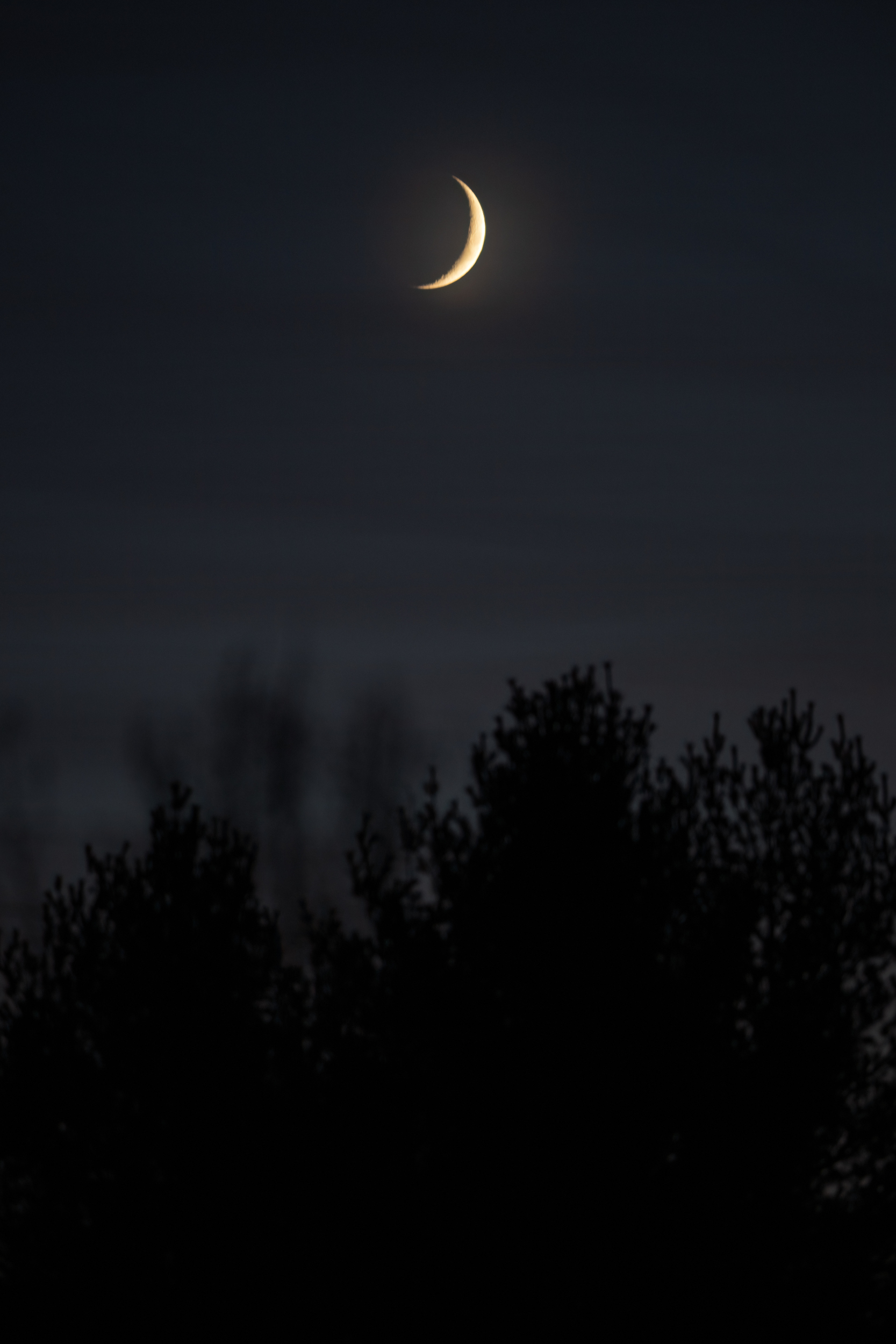a photo a skinny crescent moon above some slightly out-of-focus trees and with some faint whispy clouds streaking the dark evening sky just 10 minutes after sunset.